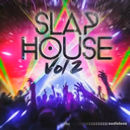 2Deep Beats Slap House Vol 2 [WAV, MiDi]