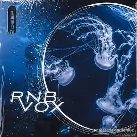 2DEEP RnB X Vox [WAV]