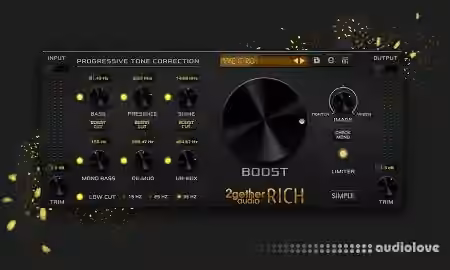 2getheraudio RICH v1.0.4.8840 [WiN]