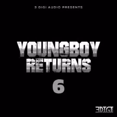 3 Digi Audio YungBoy Returns 6 [WAV]