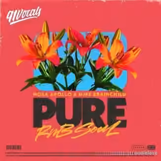 91Vocals Pure RnB Soul Nosa Apollo x Mike Brainchild [WAV]