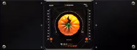 Acustica Audio Fire The Pump 2023 [WiN]