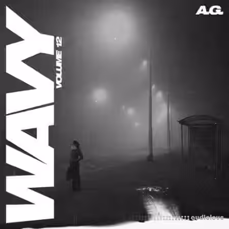 A.G. Wavy Sample Pack Vol.12 [WAV]