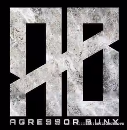 Agressor Bunx Serum Drum n Bass Presets Patreon Pack Vol.11-20 [Synth Presets]