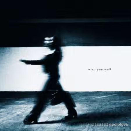 Akira & Ties Wish You Well (Compositions and Stems) [WAV]