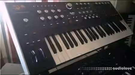Alphacode 50 Custom Patches [Synth Presets]