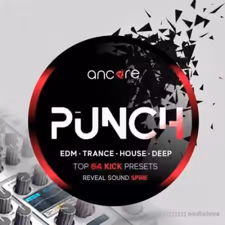 Ancore Sounds PUNCH [Synth Presets]