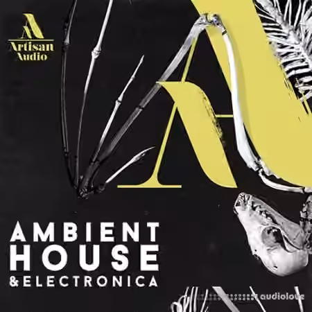 Artisan Audio Ambient House and Electronica [WAV]