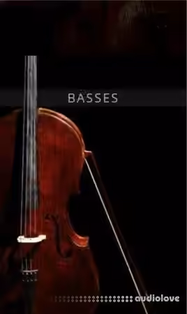 Auddict United Strings of Europe: Basses [KONTAKT]