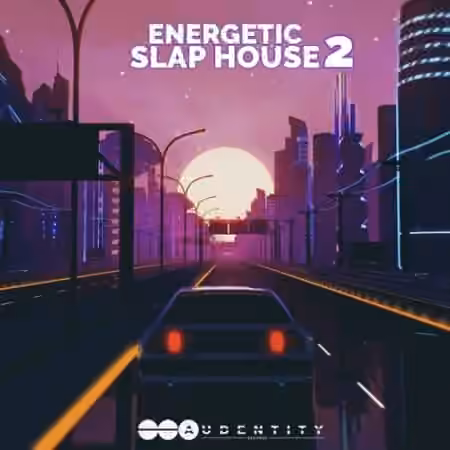 Audentity Records Energetic Slap House 2 [WAV, MiDi, Synth Presets]