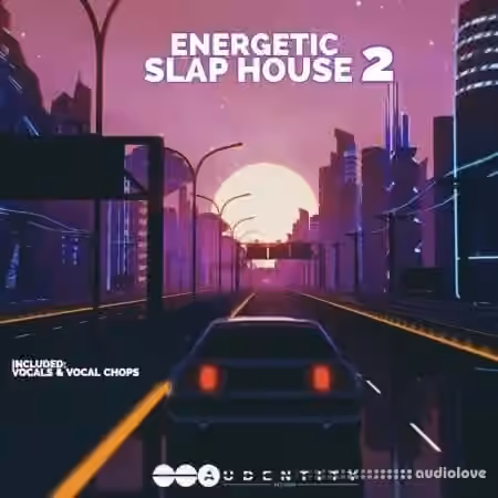 Audentity Records Energetic Slap House 2 [WAV, Synth Presets]