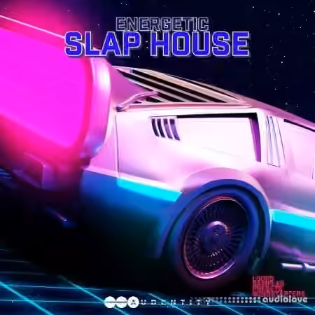 Audentity Records Energetic Slap House [WAV, Synth Presets]