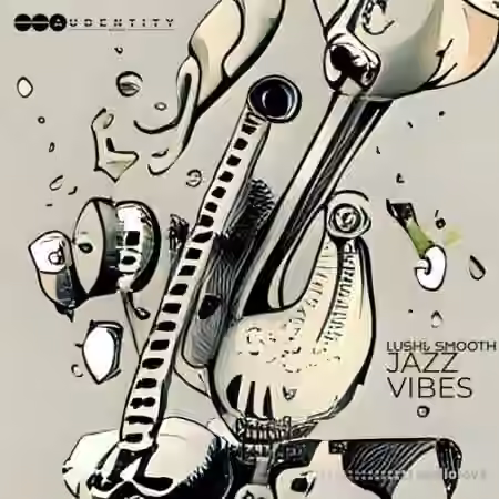 Audentity Records Lush and Smooth Jazz Vibes [WAV, MiDi]