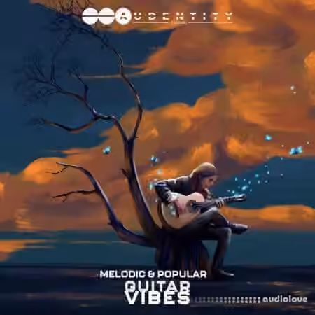 Audentity Records Melodic and Popular Guitar Vibes [WAV]