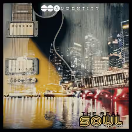 Audentity Records The Real Soul [WAV]