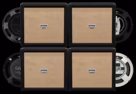 Audio Assault Seacow Cabs Citrus PPC412 Modern Amp Locker Cabs