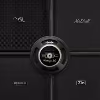 Audio Assault Seacow Cabs OVERSIZED BEASTS: BKV30 Amp Locker Cabs Presets IRs [Plugins Presets]