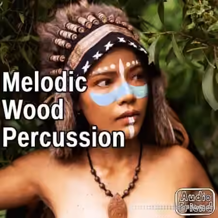 AudioFriend Melodic Wood Percussion [WAV]