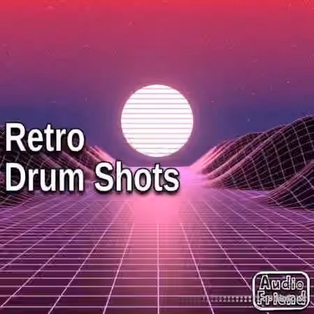 AudioFriend Retro Drum Shots [WAV]