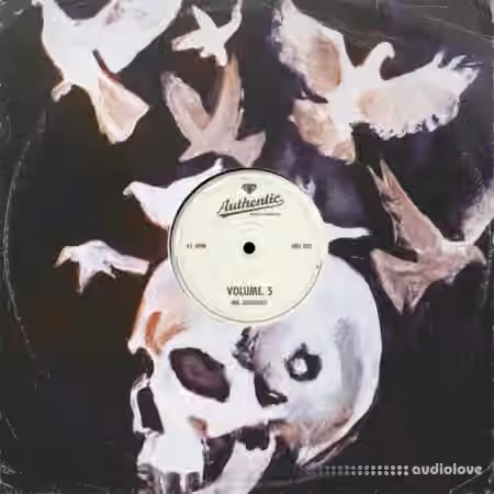 Authentic Music Library Vol.5 (STEMS) [WAV]