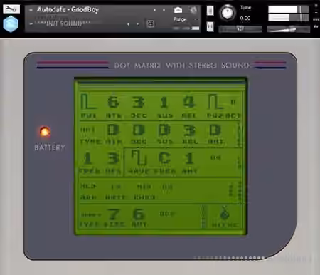 Autodafe GoodBoy [KONTAKT]
