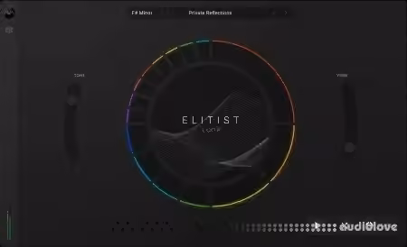 Ava Music Group Elitist Loop Vocal Hook Generator v1.0.0 [WiN, MacOSX]