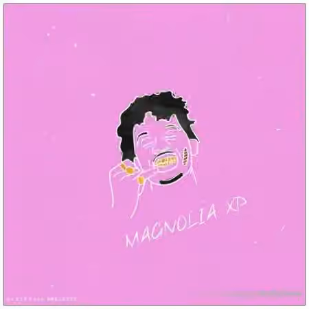 Ave Mcree Magnolia [Synth Presets]