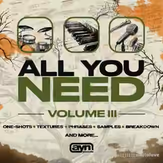 AYN Sounds All You Need Vol.3 Full Bundle [WAV, MiDi, Synth Presets]