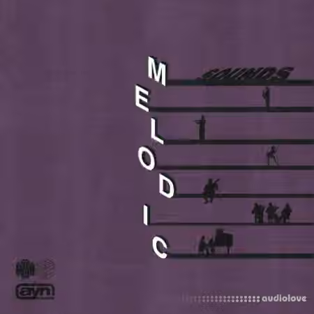 AYN Sounds Melodic Sounds Multi-Kit [WAV, Synth Presets]