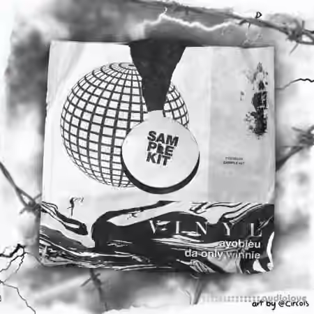 Ayo Bleu Vinyl Sample Kit [WAV]