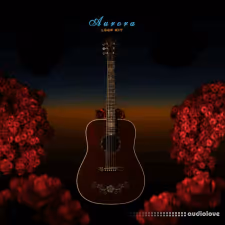 Ayoludo Aurora Loop Kit [WAV]