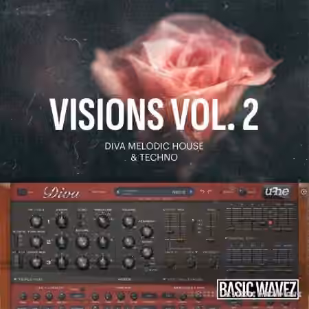 Baisc Wavez Analog Explorations Vol.2 [Synth Presets]