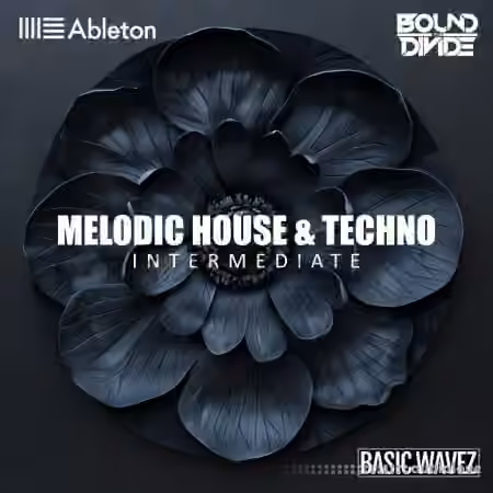 Basic Wavez (Intermediate) Write 2 Melodic House and Techno Tracks with Bound to Divide [TUTORiAL]