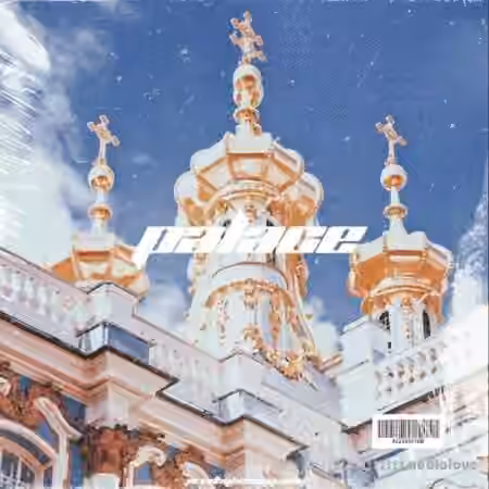 Bassyy PALACE Loop Kit [WAV]