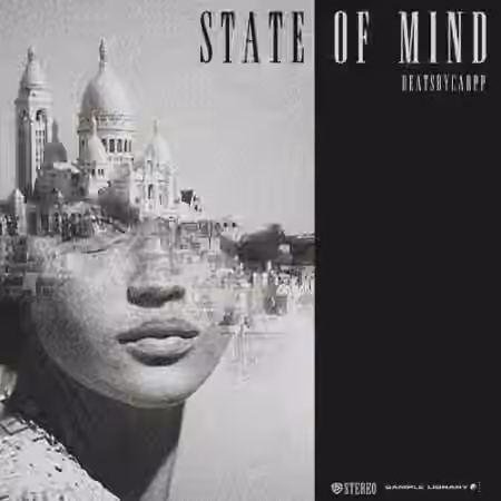 beatsbycarpp State of Mind [WAV]