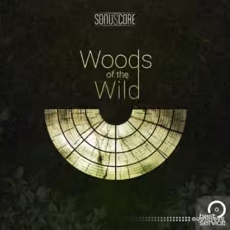 Best Service TO Woods Of The Wild [KONTAKT]