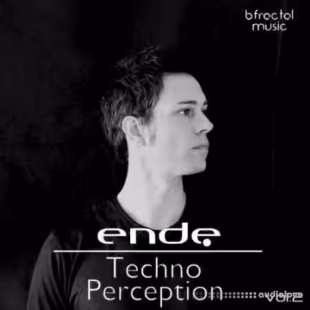 BFractal Music Techno Perception Vol.2 [WAV]