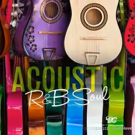 Big Citi Loops Acoustic RnB Soul [WAV]