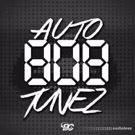 Big Citi Loops Auto 808 Tunez [WAV, MiDi]