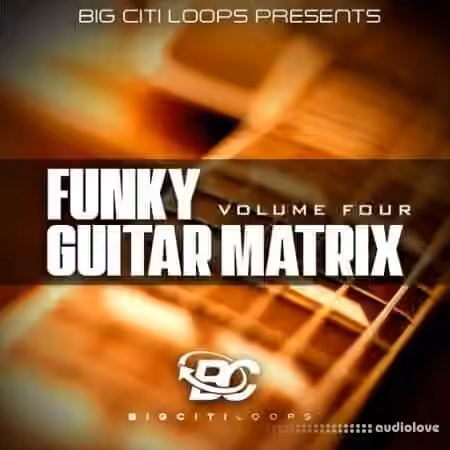 Big Citi Loops Funky Guitar Matrix Vol.4 [WAV]