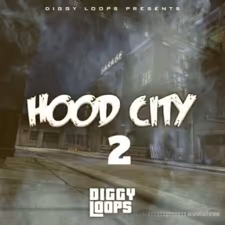 Big Citi Loops HOOD CITY 2 [WAV]