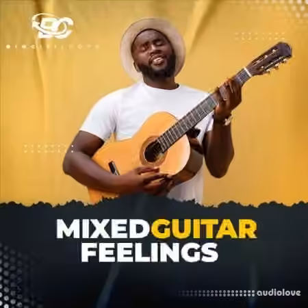 Big Citi Loops Mixed Guitar Feelings [WAV]