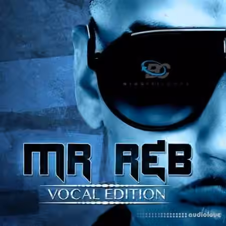 Big Citi Loops Mr. RnB Vocal Edition [WAV]