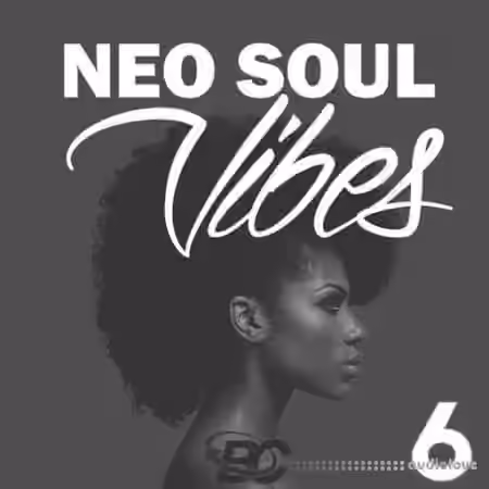 Big Citi Loops Neo Soul Vibes 6 [WAV]