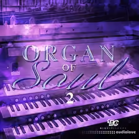 Big Citi Loops Organ Of Soul 2 [WAV]
