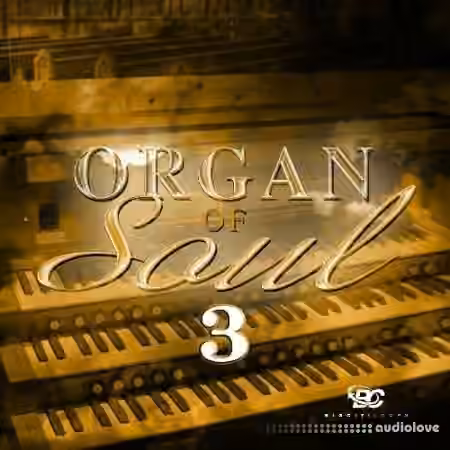 Big Citi Loops Organ Of Soul 3 [WAV]