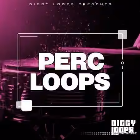 Big Citi Loops Perc Loops [WAV]