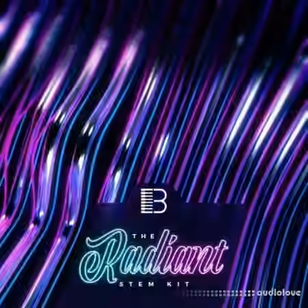 Big Citi Loops Radiant Loop Pack Vol.2 [WAV]