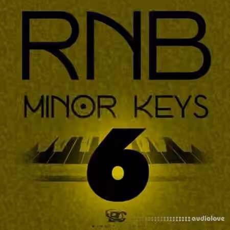 Big Citi Loops RnB Minor Keys 6 [WAV]