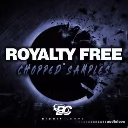 Big Citi Loops Royalty Free Chopped Samples [WAV]